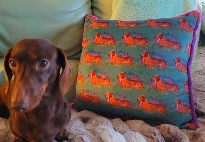 Gorgeous LUXE Minky Pillow