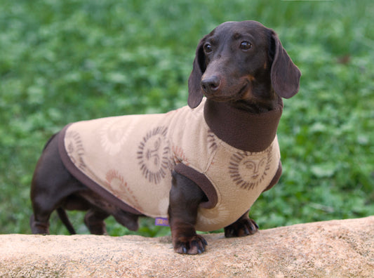 Sienna Rays LUXE Plush Pullover for Dachshunds