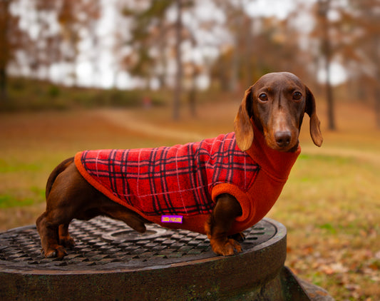 Red Rust LUXE Plush Sweater Pullover for Dachshunds