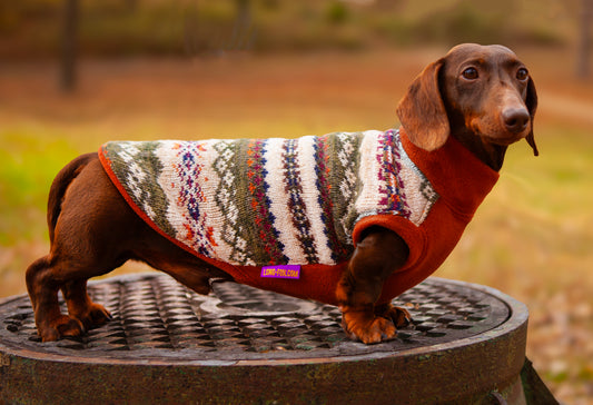 Nordic Rust LUXE Plush Sweater Pullover for Dachshunds