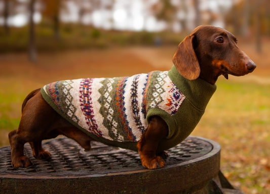 Nordic Sage LUXE Plush Sweater Pullover for Dachshunds