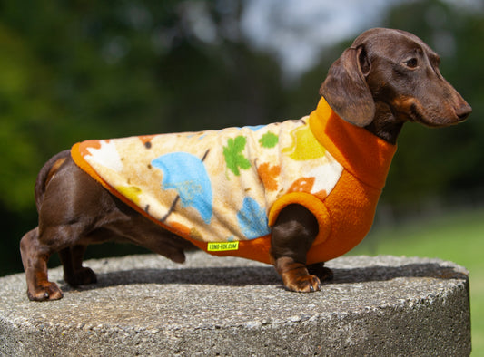 Tender Woods basic Pullover for Dachshunds