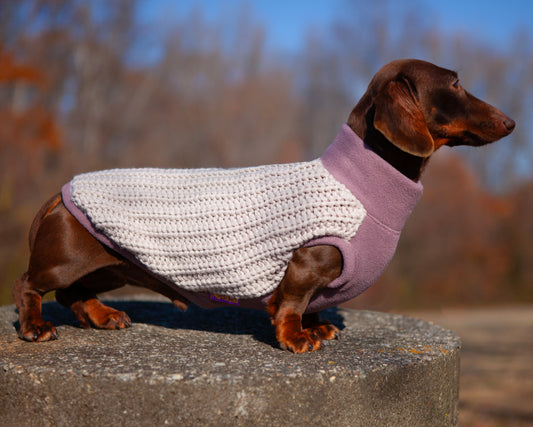 Dusty Elderberry LUXE Plush Sweater Pullover for Dachshunds