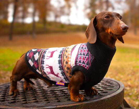Dark Mystery LUXE Plush Sweater Pullover for Dachshunds