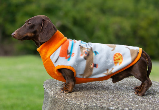 Wieners at the Park basic Pullover for Dachshunds