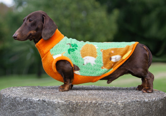 Bright Woods basic Pullover for Dachshunds