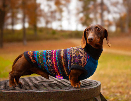 Jewel Night LUXE Plush Sweater Pullover for Dachshunds