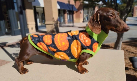 Jack-o'-Lantern LUXE Plush Pullover for Dachshunds