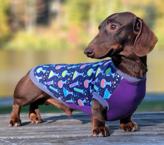 Little Einstein LUXE Cozy T-Shirt for Dachshunds